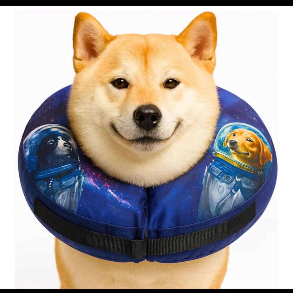 NWT- Soft Inflatable Dog Cone for After Surgery/ LARGE/ Fits 14-17.5 inches